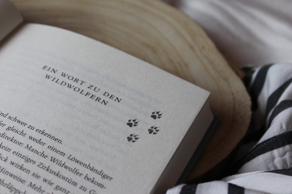 Feo Und Die Wölfe Rezension Rezension | Feo und die Wölfe - Katherine Rundell - Miss Foxy Reads